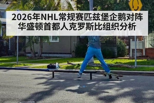 2026年NHL常规赛匹兹堡企鹅对阵华盛顿首都人克罗斯比组织分析